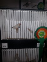 /album/fotogaleria/a2014-11-08-09-49-26-2-kopia-jpg/